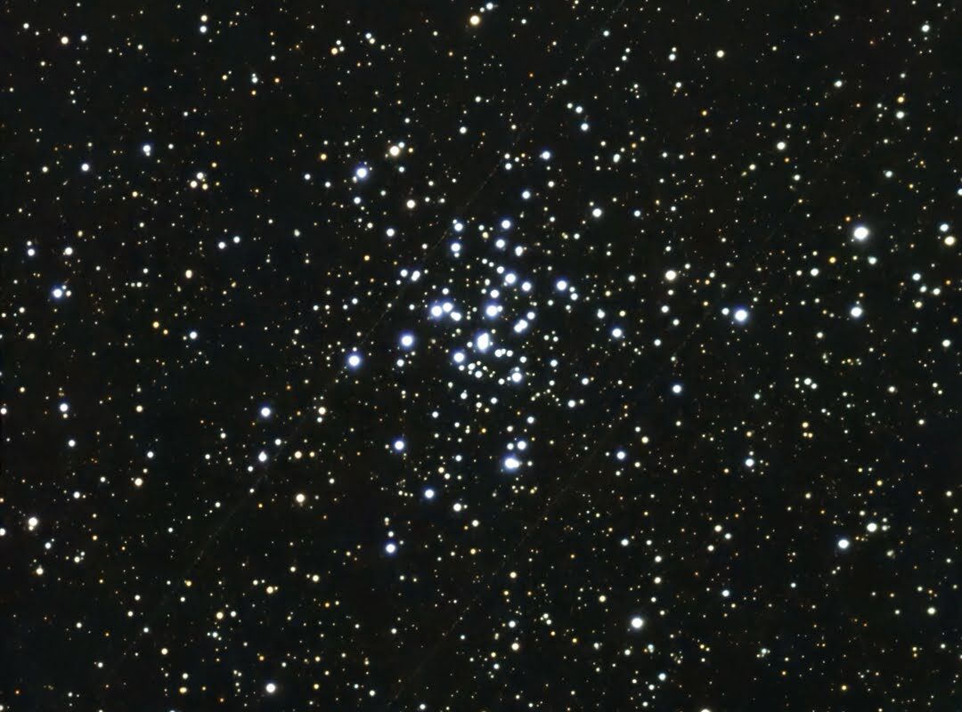 M 36 – offener Sternhaufen