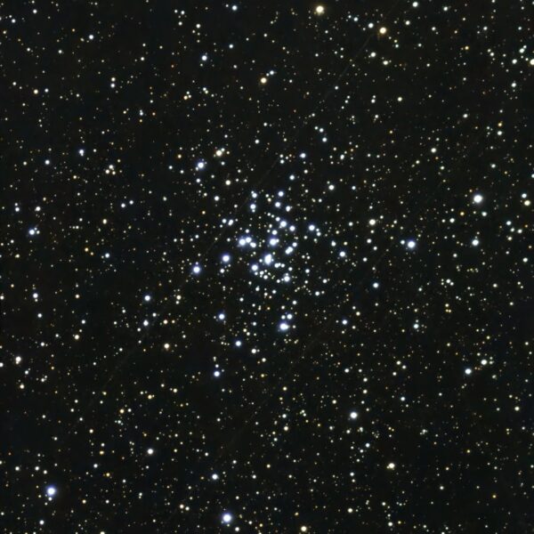 M 36 – offener Sternhaufen