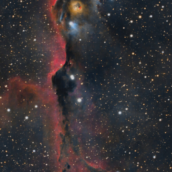 IC 1396 – Elefantenrüsselnebel