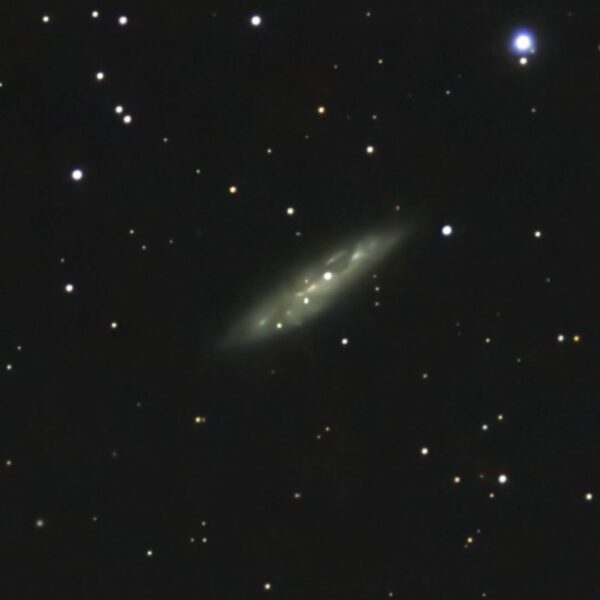 Messier 108 – Surfboard Galaxie und Eulennebel M97 (Seestar)