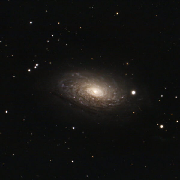 Messier 63 – Sonnenblumen…