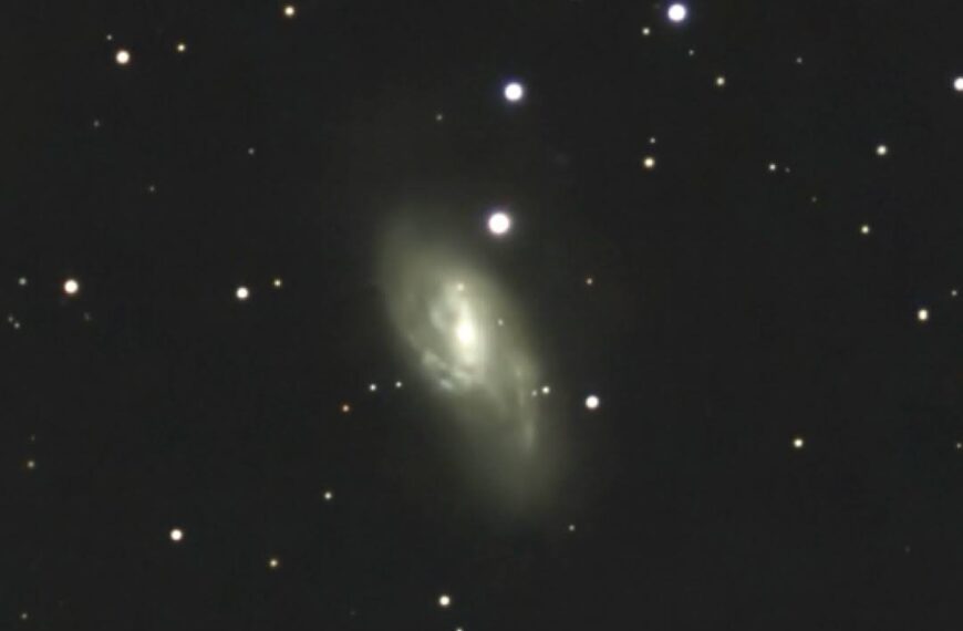 M 66 – im Leo-Triplett (Seestar)