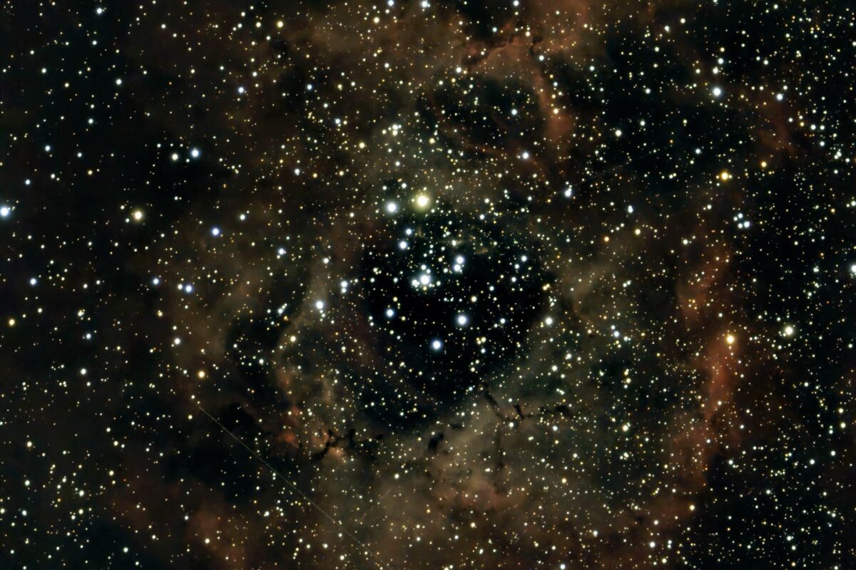 NGC 2244 – Rosettennebel (Seestar)
