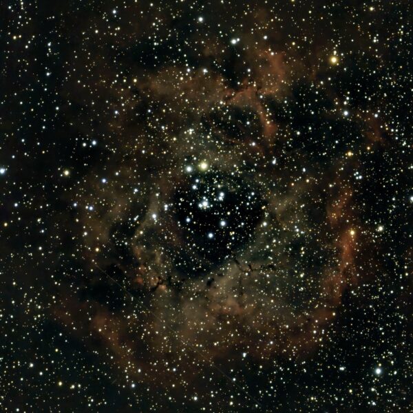 NGC 2244 – Rosettennebel (Seestar)