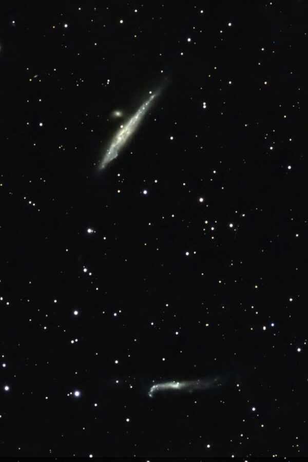 NGC 4656 / NGC 4631 – Hockey Stick & Walgalaxie (Seestar)