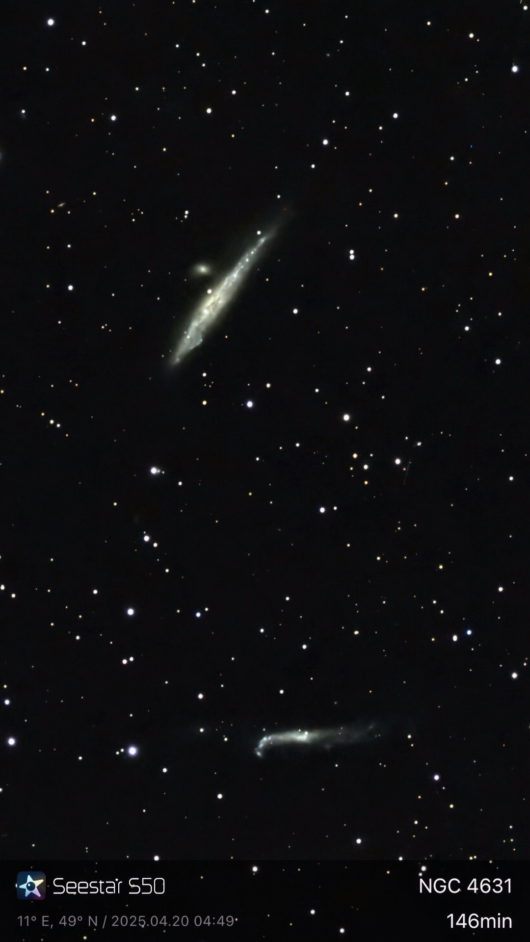 NGC 4656 / NGC 4631 – Hockey Stick & Walgalaxie (Seestar)