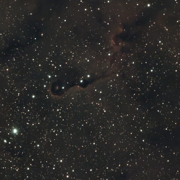 IC 1396A – Elefantenrüsselnebel (Seestar)