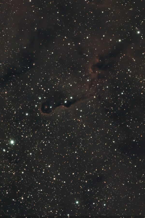 IC 1396A – Elefantenrüsselnebel (Seestar)