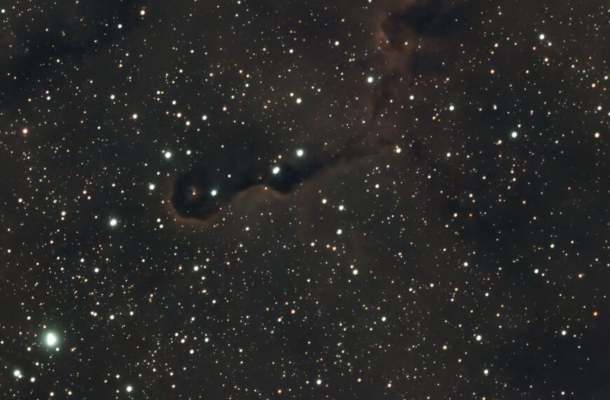 IC 1396A – Elefantenrüsselnebel (Seestar)