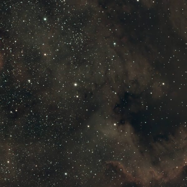 NGC 7000 – Nordamerikanebel (Seestar)