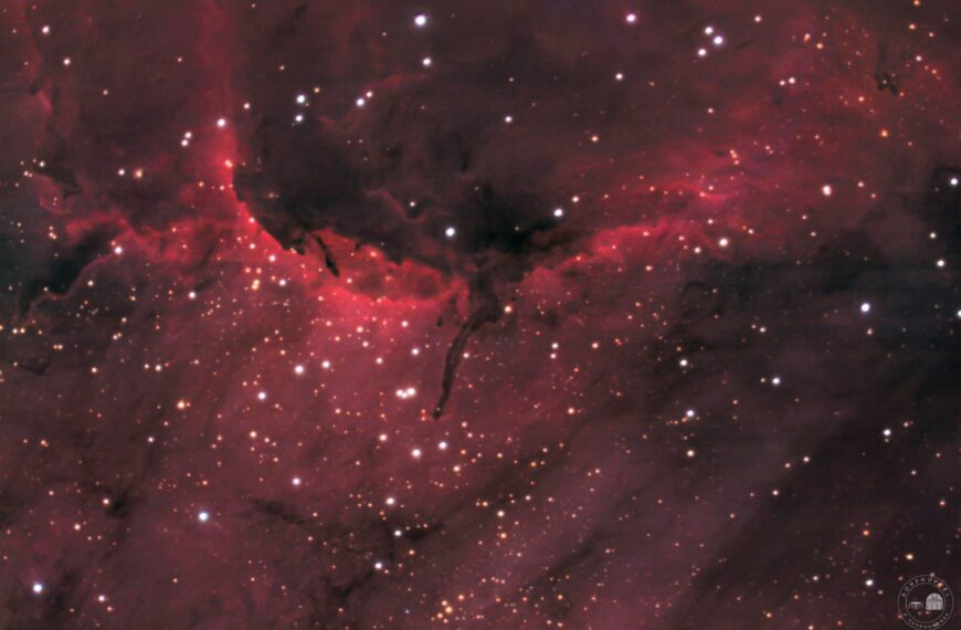 IC 5067 – Filigrane Strukturen im Pelikanrücken