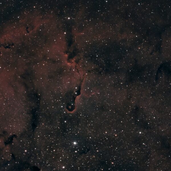 IC 1396A – Der Elefantenrüsselnebel im Seestar S50 Pro