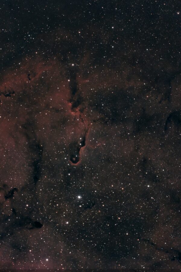 IC 1396A – Der Elefantenrüsselnebel im Seestar S50 Pro