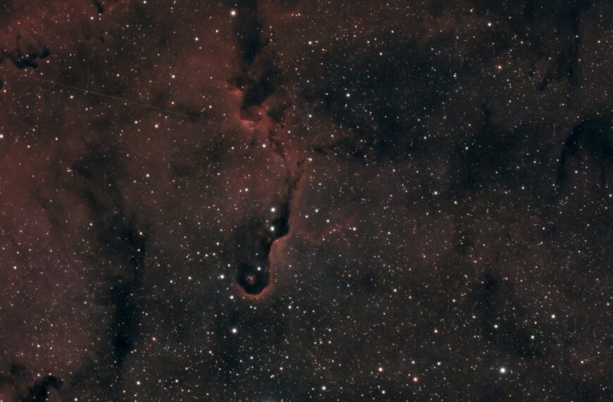 IC 1396A – Der Elefantenrüsselnebel im Seestar S50 Pro
