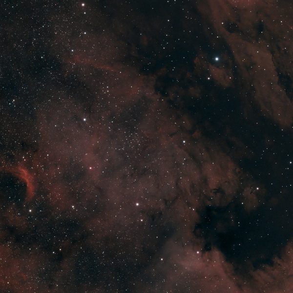 NGC 7000 – Der Nordamerika-Nebel im Seestar S50 Pro