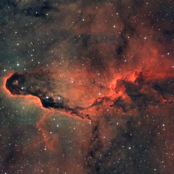 IC 1396A – Der&hellip;