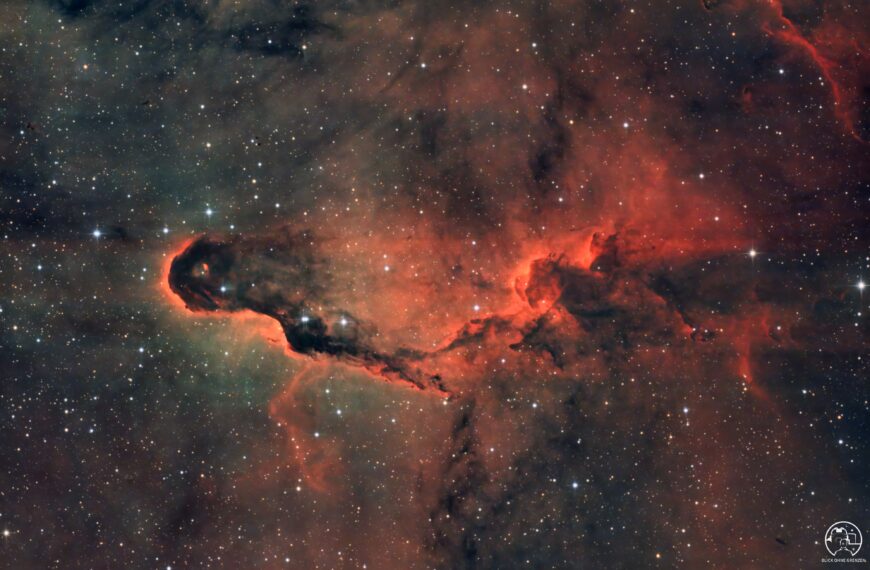 IC 1396A – Der Elefantenrüsselnebel im Schein des Vollmonds