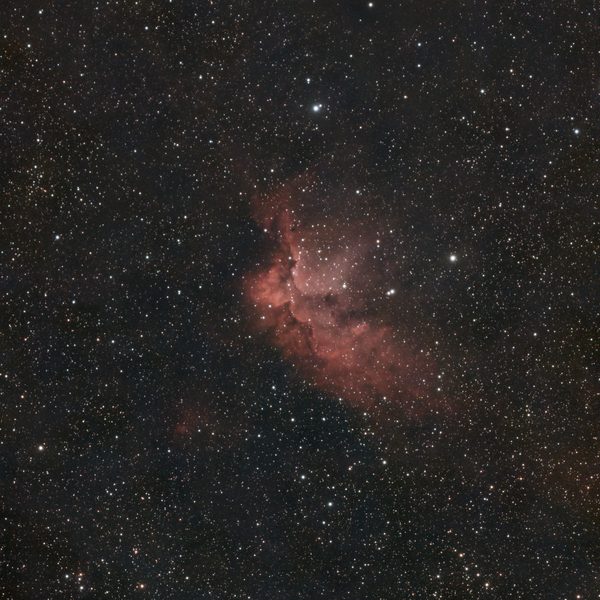 SH2-142 – Zauberer-Nebel (Wizard Nebula) mit dem Seestar S50 Pro im EQ-Modus